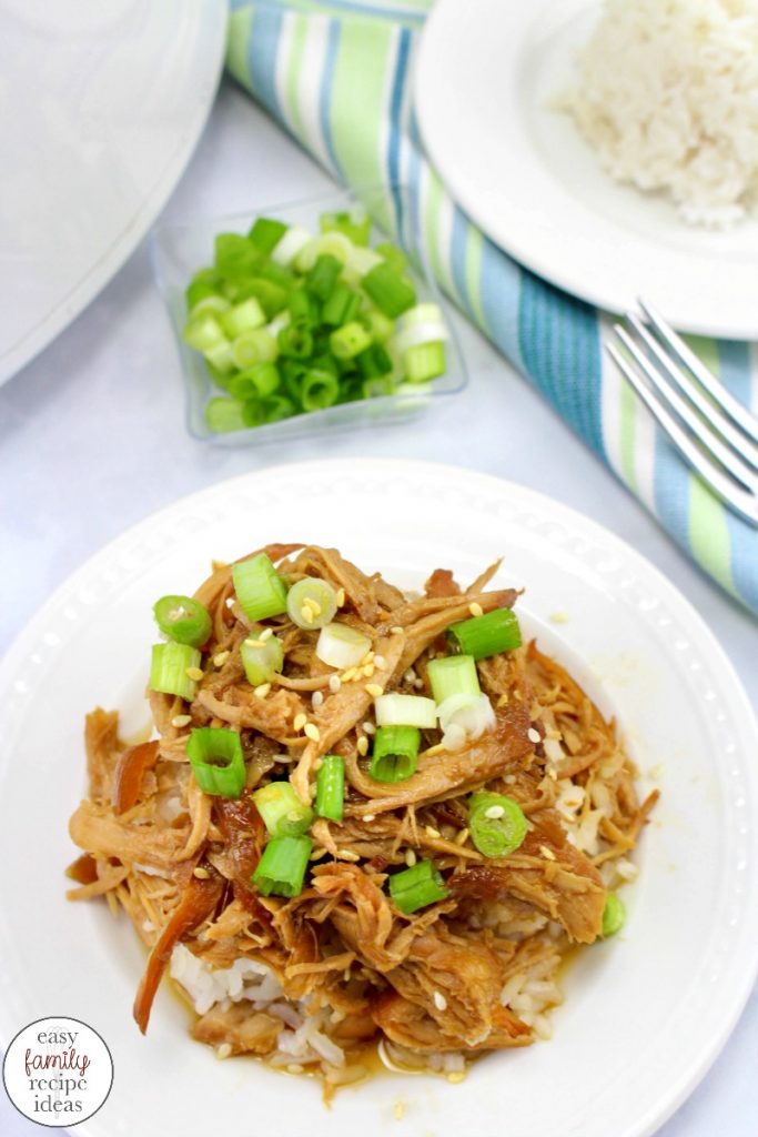 The Best Crock Pot Teriyaki Chicken Recipe, This Crock Pot Teriyaki Chicken is amazing! It's an easy Slow Cooker Teriyaki Chicken made with only a few ingredients and has amazing flavors. Teriyaki Chicken is an easy weeknight meal your family will love. Teriyaki Chicken Crock Pot,   Teriyaki Chicken healthy