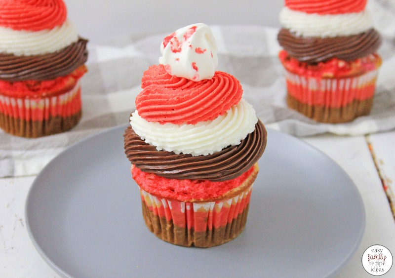 These Neapolitan Cupcakes are packed full of taste and flavor! This Cake Mix Cupcake Recipe is so simple to make! If you're craving a cupcake recipe that you know is going to deliver, this is the one for you. Every single bite of this delicious unique cupcake recipe will have you craving for more. 