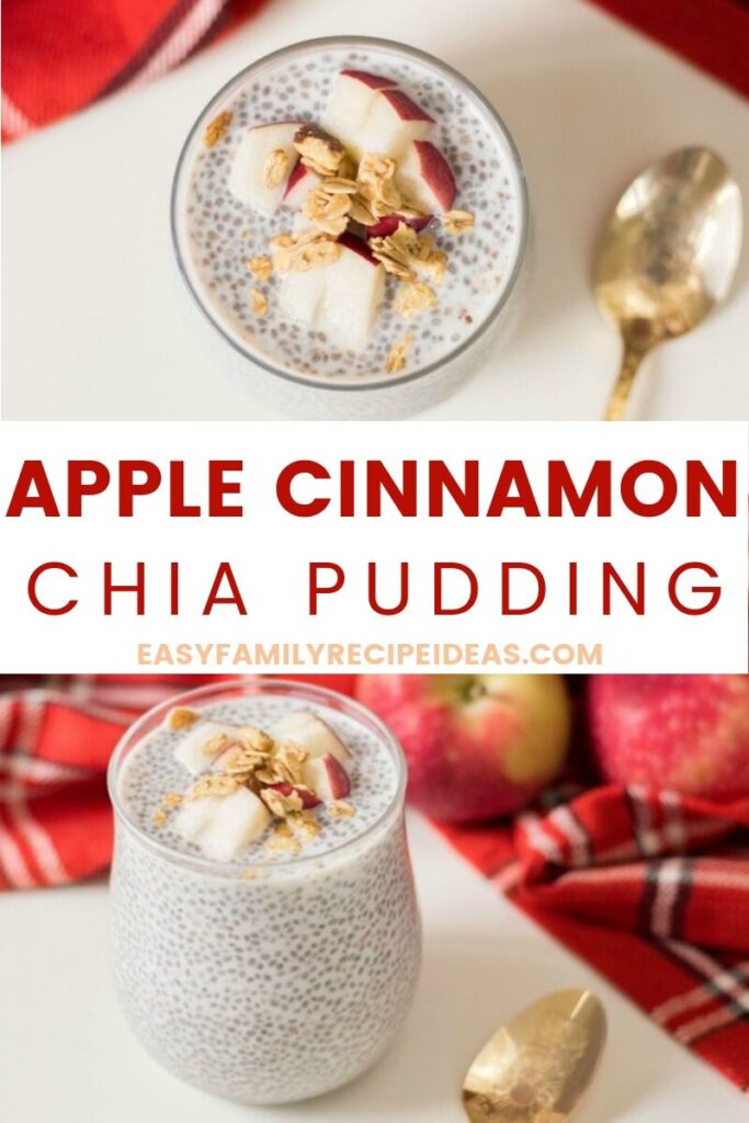 This Healthy Apple Cinnamon Chia Pudding recipe is so simple to make! With just a few ingredients and no baking needed, it's an easy and healthy breakfast idea. Apple Cinnamon Pudding is a delicious fall breakfast or afternoon snack, See how easy it is to make this chia seed pudding recipe