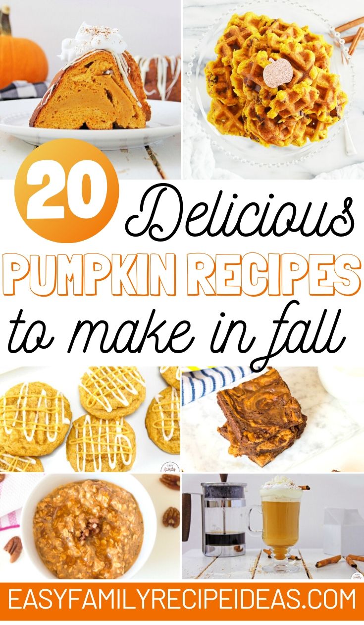 Whether you are looking for something healthy to eat, something sweet, or something that's fun and festive these easy fall snack ideas will help you make snack time the best food of the day. From caramel and apples to pumpkin spice recipes these fun fall snack ideas will make everyone in your family happy.