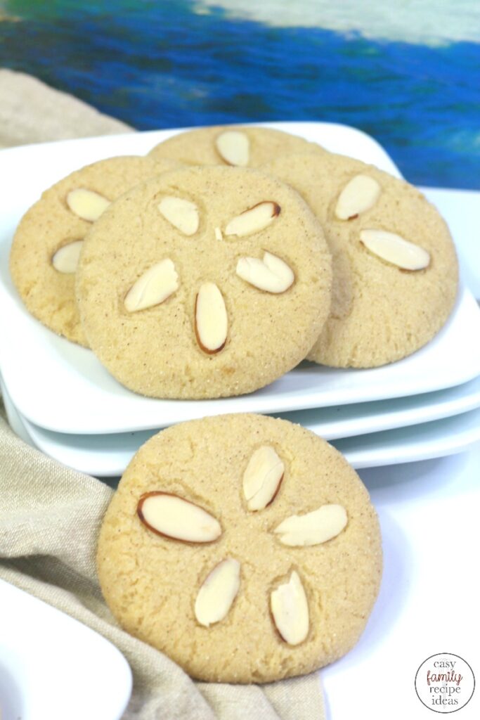 These Sand Dollar Cookies are so tasty and simple! If you're ready to head to the beach, add these cinnamon sugar summer cookies as a fun snack idea. Cinnamon Sugar Sand Dollar Cookies for a Summer Party or Beach Party Dessert