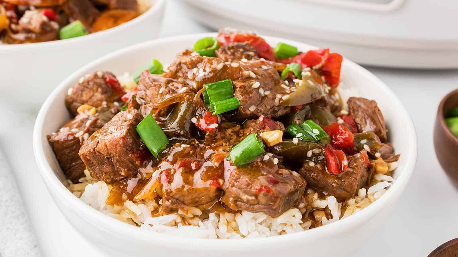 A bowl of beef and rice in front of a slow cooker.